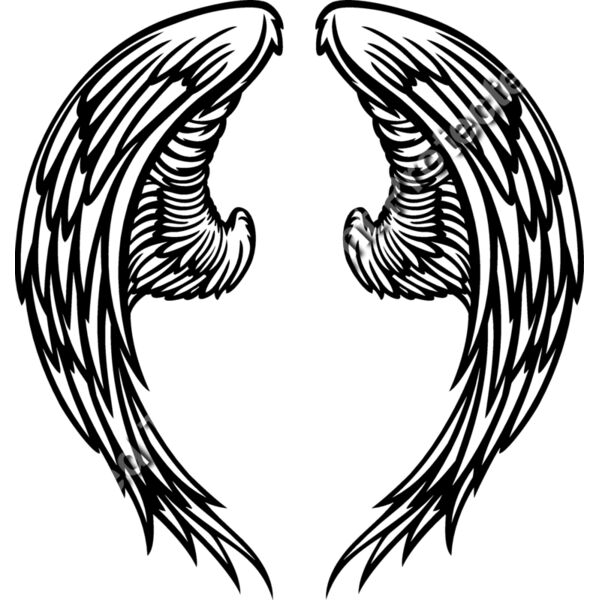 ES3wing06bw Thumbnail