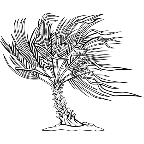 ES3tree12BW Thumbnail