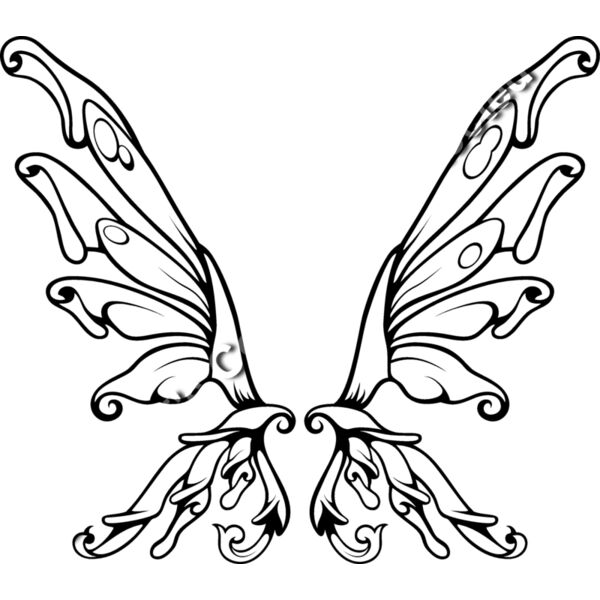 ES3wing08bw Thumbnail