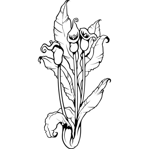 ES3flower07bw Thumbnail