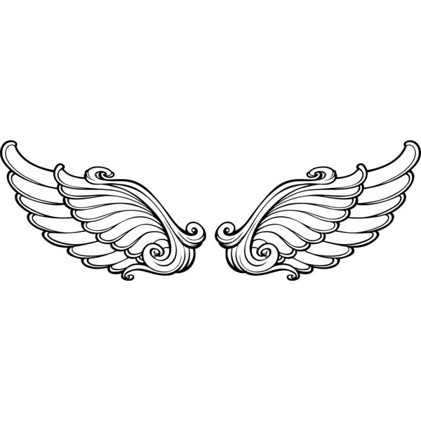 ES3wing02bw Thumbnail