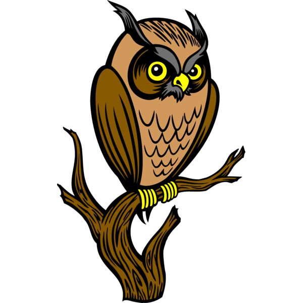 ES3owl01clr Thumbnail