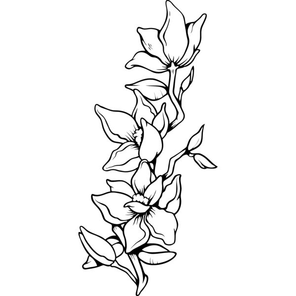 ES3flower05bw Thumbnail