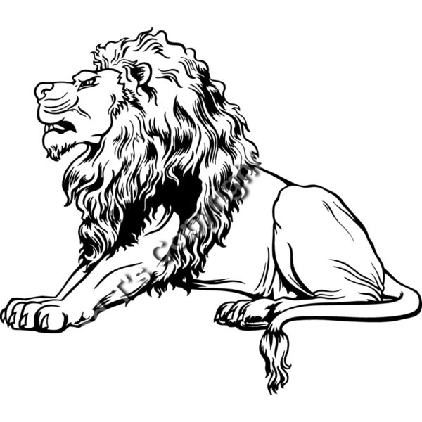 ES3lion01bw Thumbnail