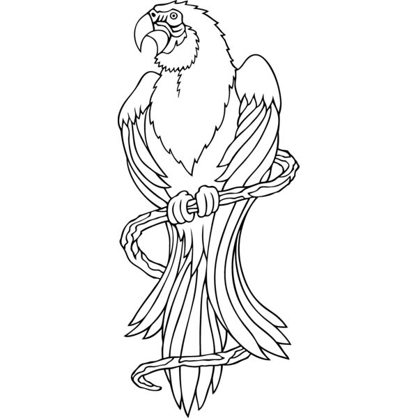 es3parrot03bw Thumbnail