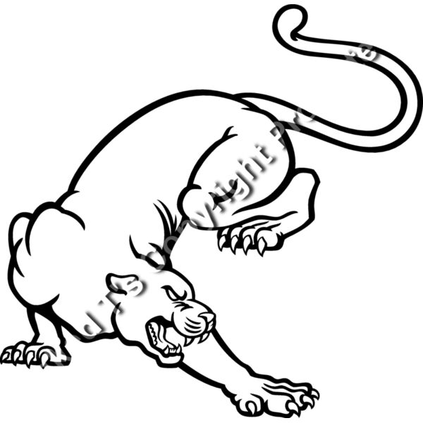 ES3panther02bw Thumbnail