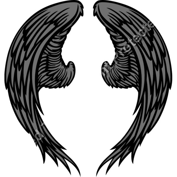 ES3wing06clr Thumbnail