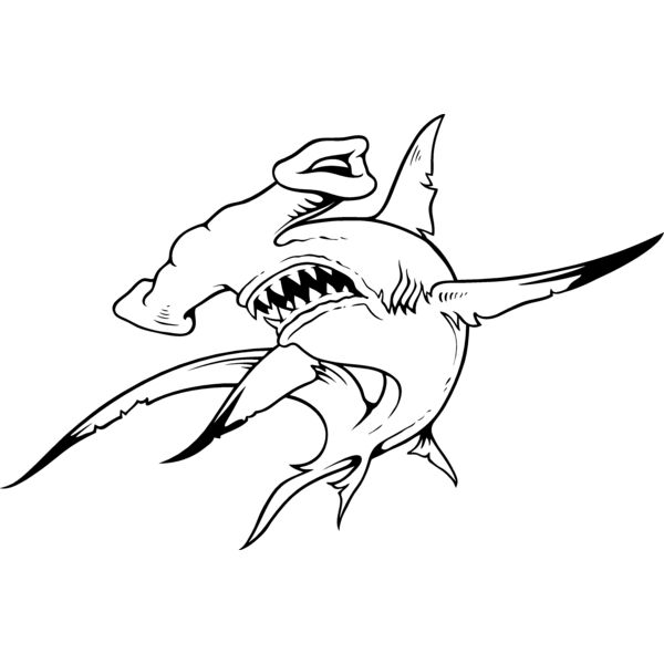 ES3shark01bw Thumbnail