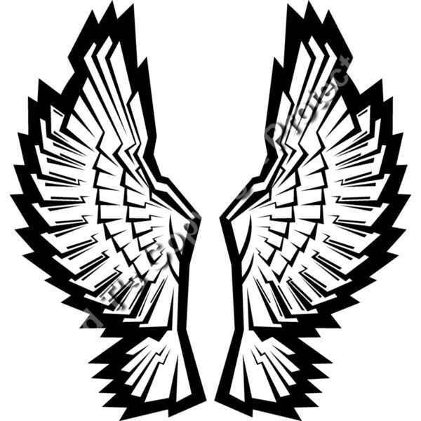 ES3wing12bw Thumbnail