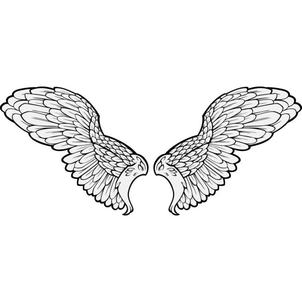 ES3wing11clr Thumbnail