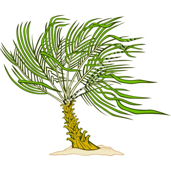 ES3tree12clr Thumbnail