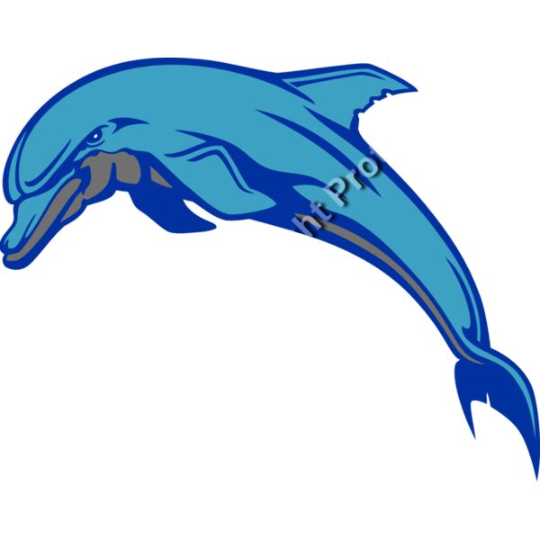 ES3dolphin03clr Thumbnail