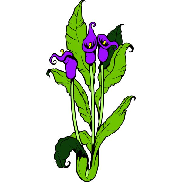 ES3flower07clr Thumbnail