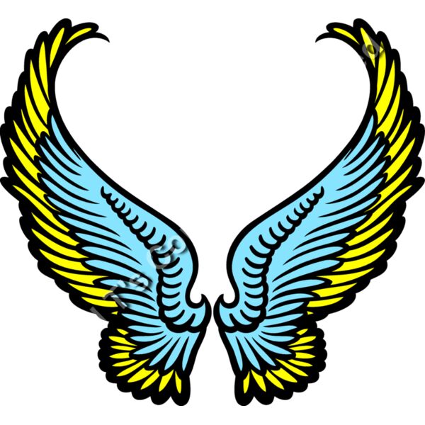 ES3wing07clr Thumbnail