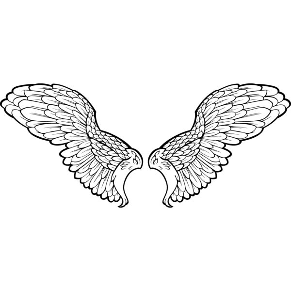 ES3wing11bw Thumbnail