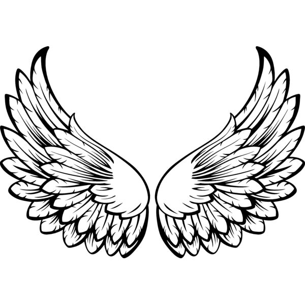 ES3wing15bw Thumbnail