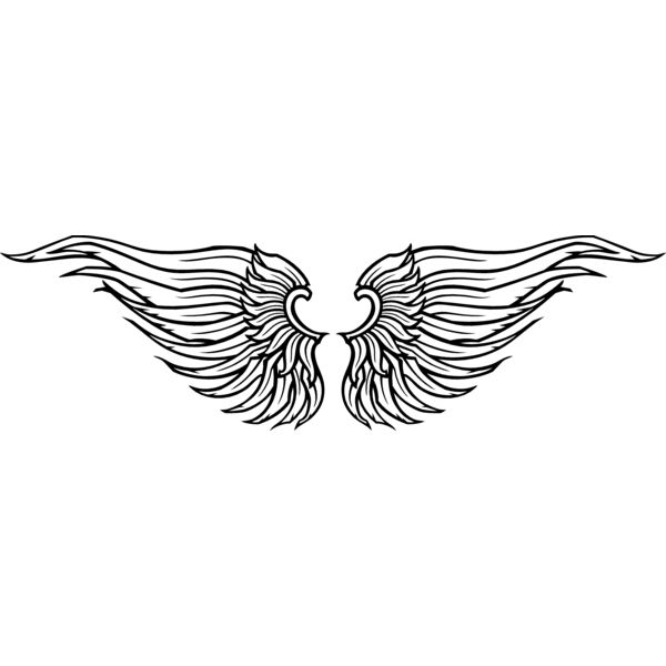 ES3wing19bw Thumbnail