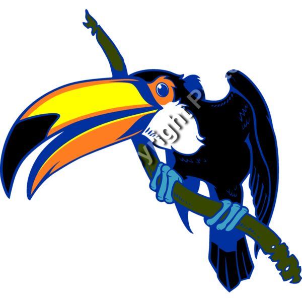 ES3toucan01clr Thumbnail