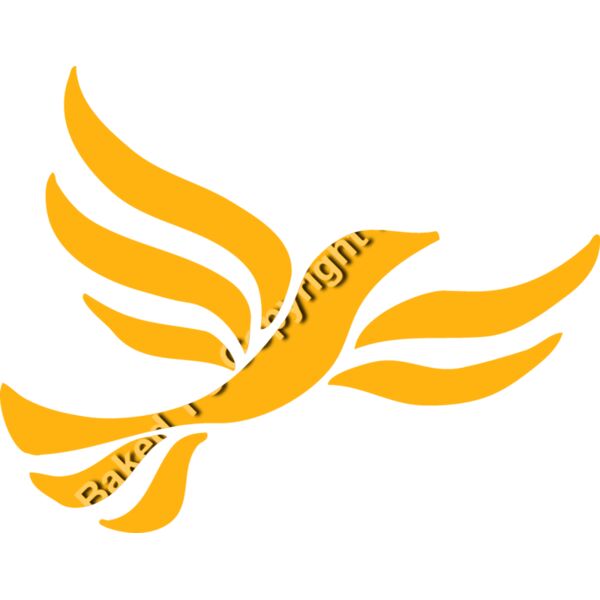 LiberalDem Thumbnail