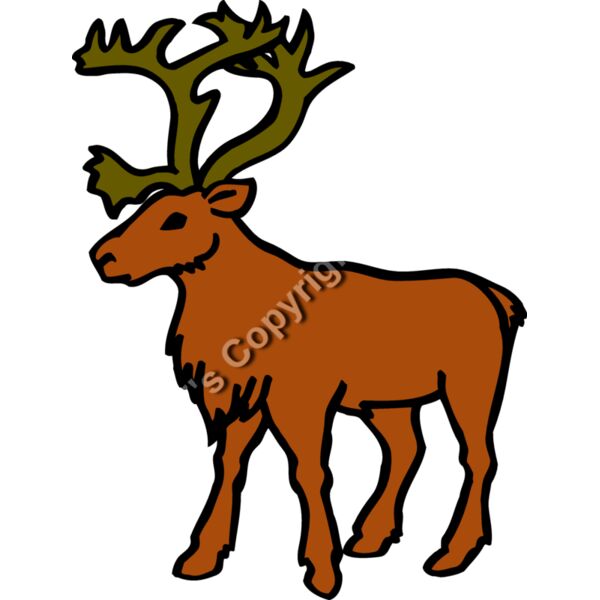 RAINDEER1 Thumbnail