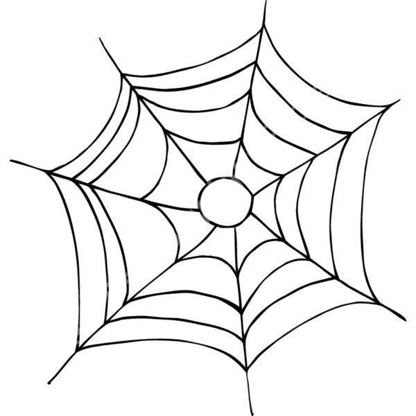 SPIDERWEB2 Thumbnail