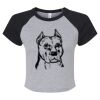 Women's Micro Rib Raglan Baby Tee Thumbnail