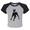 Women's Micro Rib Raglan Baby Tee Thumbnail