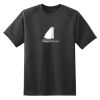 Dry Zone™ Short Sleeve Raglan T Shirt Thumbnail