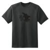 Dry Zone™ Short Sleeve Raglan T Shirt Thumbnail
