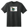 Dry Zone™ Short Sleeve Raglan T Shirt Thumbnail