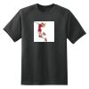 Dry Zone™ Short Sleeve Raglan T Shirt Thumbnail