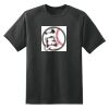 Dry Zone™ Short Sleeve Raglan T Shirt Thumbnail