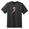 Dry Zone™ Short Sleeve Raglan T Shirt Thumbnail