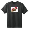 Dry Zone™ Short Sleeve Raglan T Shirt Thumbnail