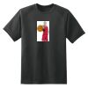 Dry Zone™ Short Sleeve Raglan T Shirt Thumbnail