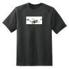 Dry Zone™ Short Sleeve Raglan T Shirt Thumbnail