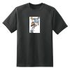 Dry Zone™ Short Sleeve Raglan T Shirt Thumbnail