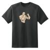 Dry Zone™ Short Sleeve Raglan T Shirt Thumbnail