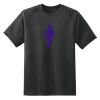Dry Zone™ Short Sleeve Raglan T Shirt Thumbnail
