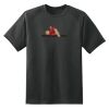 Dry Zone™ Short Sleeve Raglan T Shirt Thumbnail