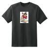 Dry Zone™ Short Sleeve Raglan T Shirt Thumbnail