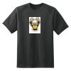 Dry Zone™ Short Sleeve Raglan T Shirt Thumbnail