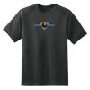 Dry Zone™ Short Sleeve Raglan T Shirt Thumbnail