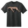 Dry Zone™ Short Sleeve Raglan T Shirt Thumbnail