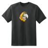 Dry Zone™ Short Sleeve Raglan T Shirt Thumbnail