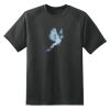 Dry Zone™ Short Sleeve Raglan T Shirt Thumbnail