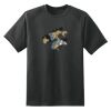 Dry Zone™ Short Sleeve Raglan T Shirt Thumbnail
