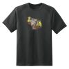 Dry Zone™ Short Sleeve Raglan T Shirt Thumbnail