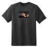 Dry Zone™ Short Sleeve Raglan T Shirt Thumbnail