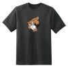 Dry Zone™ Short Sleeve Raglan T Shirt Thumbnail
